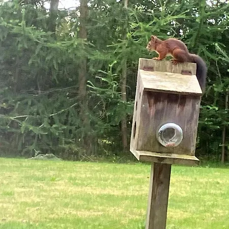 Family Retreat - By Traum 別荘