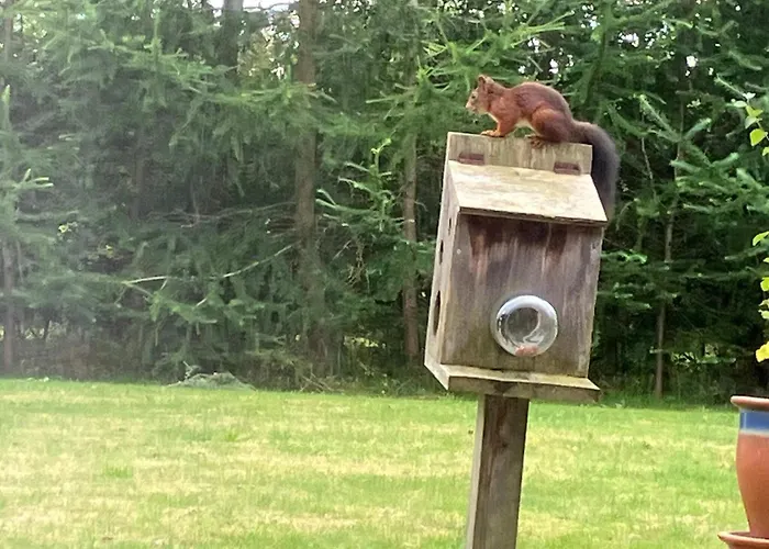 Family Retreat - By Traum Σπίτι διακοπών