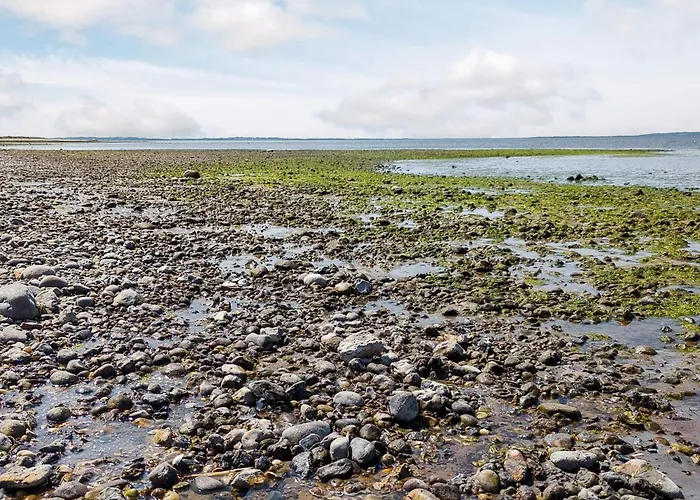 Family Retreat - By Traum * Logstor